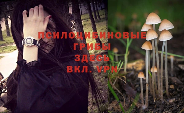 наркотики Абинск